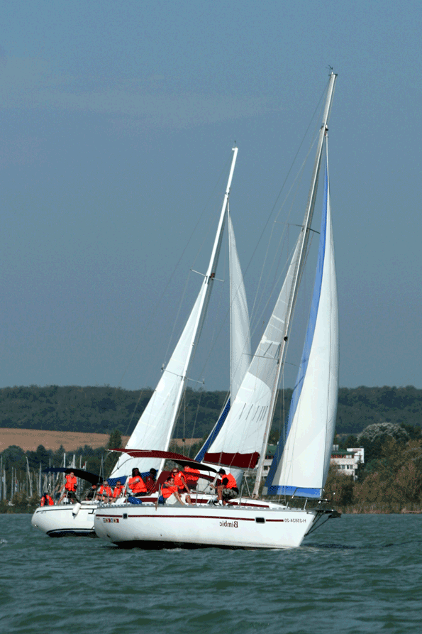 vitorlas-csapatepites